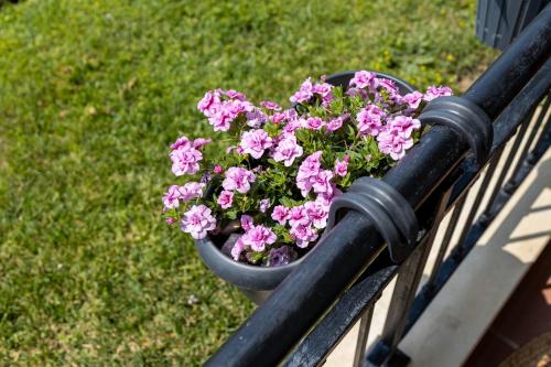 Apartment Caricia complex Carpe Diem Balchik - sea view & free parking, Balchik (photo 8)