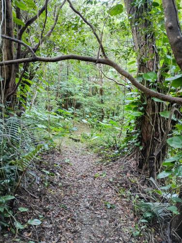 敷地四千坪以上 一階まるまる貸切 広い敷地内でBBQ可能 ジャングリア送迎サービス有り Forest lnn YANBARU
