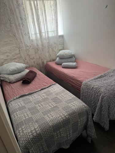 Hostel Suda5, Tallin (foto 2)
