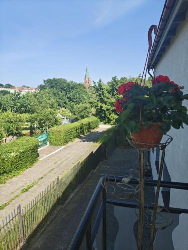 Pełna Chata Trojanka (Pelna Chata Trojanka) in 波烏琴-茲德魯伊