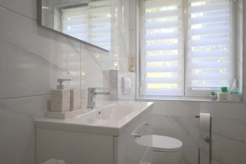 One-Bedroom Apartment image 3