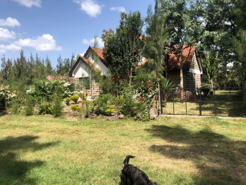 Ruby's Cottage, Nairobi