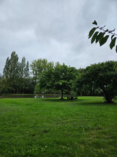 Menthe in ชาลอง