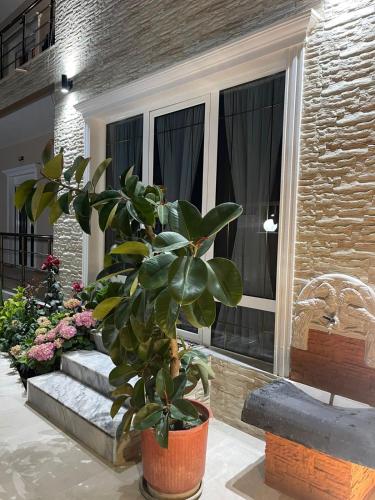 כניסה, Urban Luxe Retreat- Pogradec in פוגרדץ