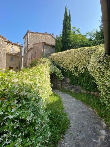I Giardini Pensili chambre d'hôte Rocchette di Fazio
