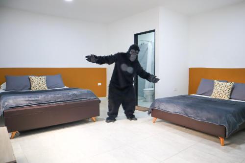 1 queen bed, 2 double beds