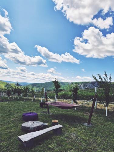 La Ograda - Cheile Turzii, near Turda in Sandulesti