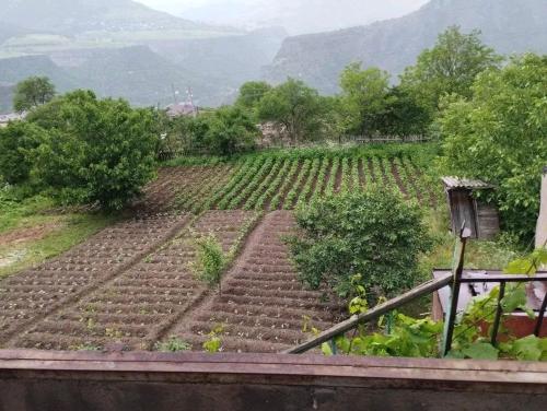 حديقة, Edem Camping in Haghpat