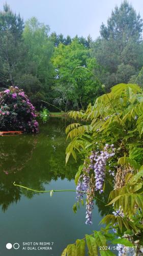 Maisonnave in Sabres