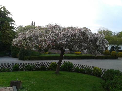 Rene's B&B - image 14