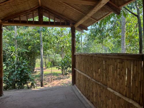 Apkārtne, Little Monkey Camp in Kibale