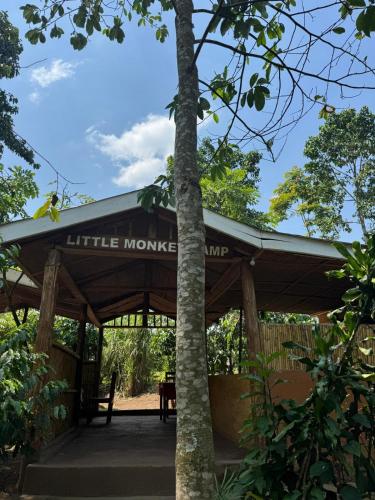 Ieeja, Little Monkey Camp in Kibale