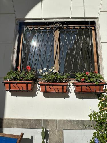 La finestra sugli archi, Palermo