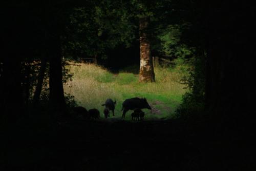 Chambres et Table d'Hôtes Les Machetières