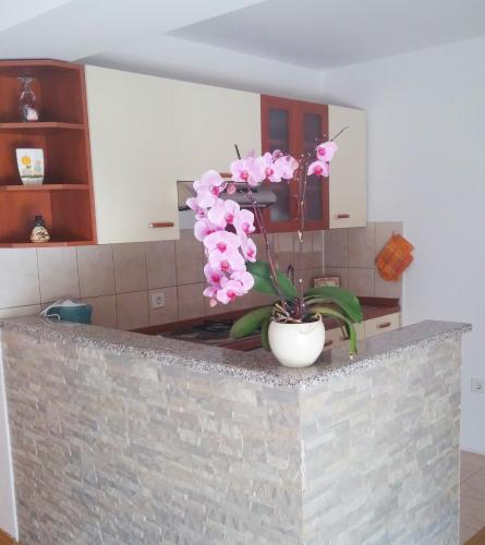 Guest House Domig photo 5
