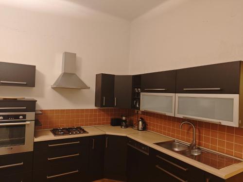 APARTAMENT CIESZYN in Cesky Tesin