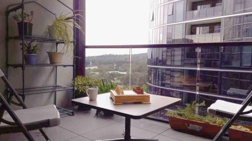 Woden Comfy apartment in GCT in Woden Valley