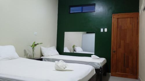 Green Amazon Lodging