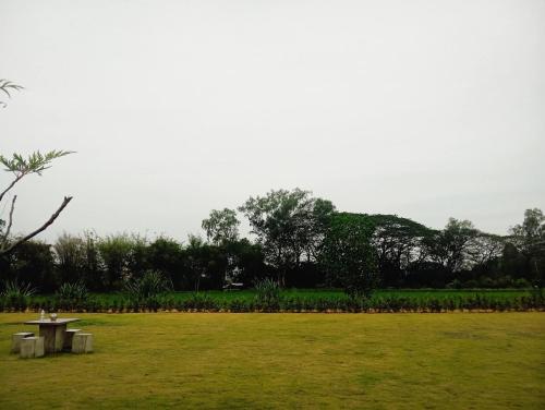 Surrounding environment, FIELD GOOD Resort at Chiang Rai near Chicken Rice & Noodles by the Padi