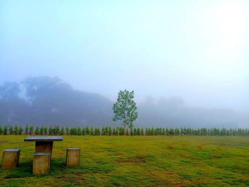 Surrounding environment, FIELD GOOD Resort at Chiang Rai near Chicken Rice & Noodles by the Padi