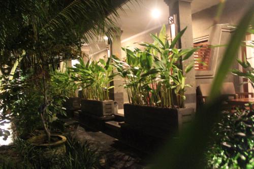 Deluxe Double Room with Terrace image 10