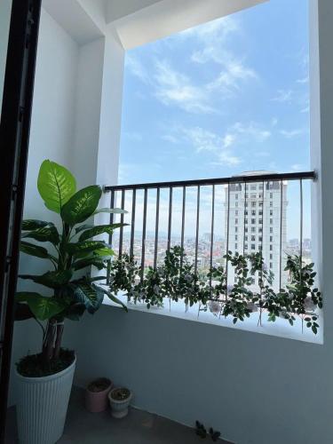 Minh Anh Apartment - image 3