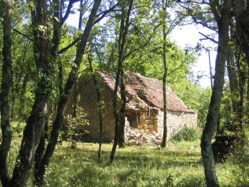 Peyrazet Haut gîte à louer Creysse