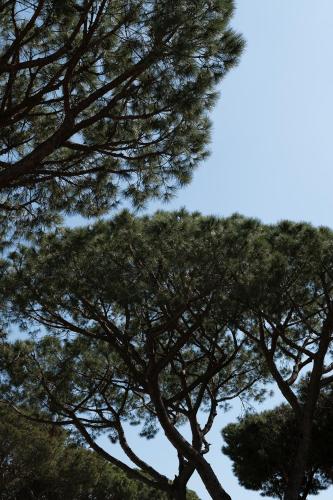 Apartamentos Porta Coeli - Accommodation - Castelldefels