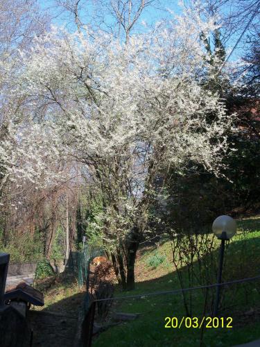 景觀, 伊格里住宿加早餐旅館 (B&B I Ghiri) in 貝加莫郊區