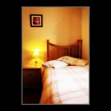 Park Lodge - image 8