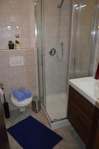 Apartment with Terrace image 9