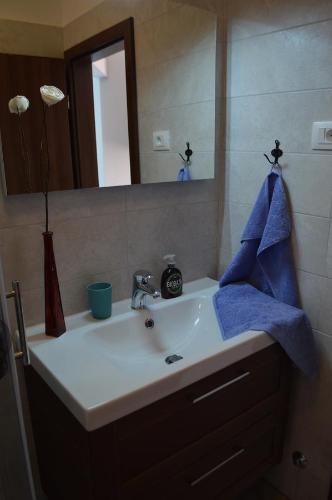 Apartment with Terrace image 7