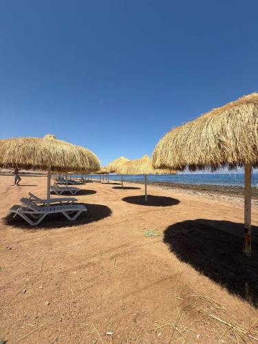 Zain Dive Inn – Dahab, IN