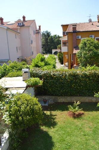 Apartment with Terrace image 5