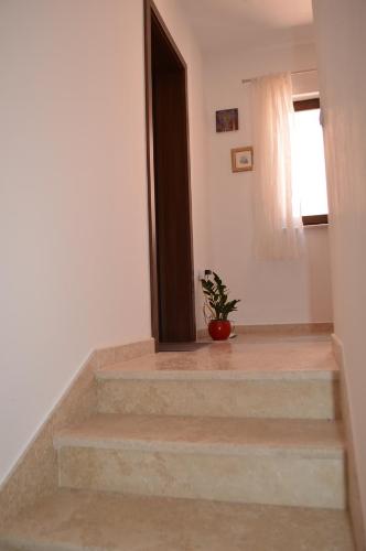 Studio with Terrace image 1