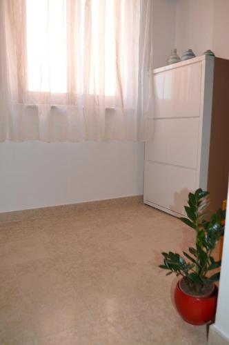 Studio with Terrace image 2