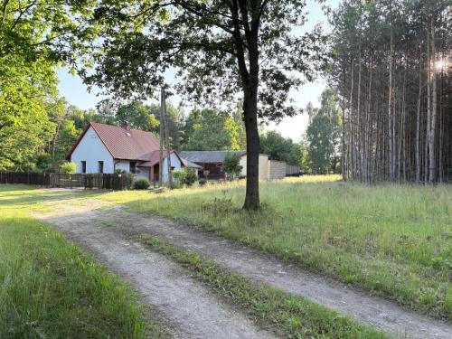 . Moda Na Mioda - DOM W LESIE