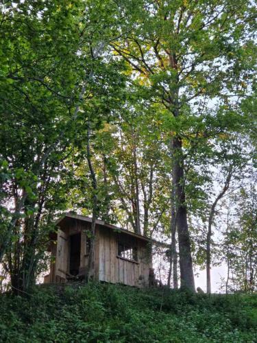 Terra Gratia - namukas Natūralistas (Terra Gratia - namukas Naturalistas) in 比利亞基埃米斯