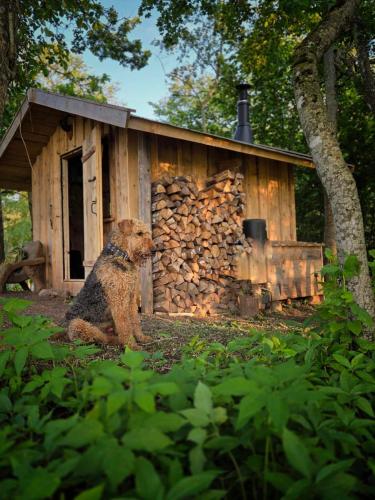 Terra Gratia - namukas Natūralistas (Terra Gratia - namukas Naturalistas) in 比利亞基埃米斯