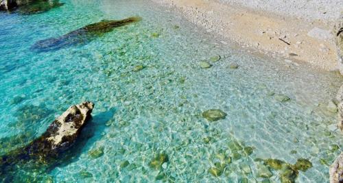 Apartment 150m from Arena Colosseum in Pula