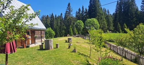 Domacinstvo Obradovic Nadgora in Uskoci