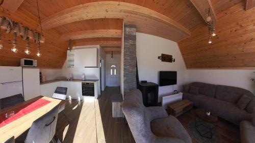 Koplietošanas atpūtas telpa ar TV, Villa Madalina Blidinje in Risovac