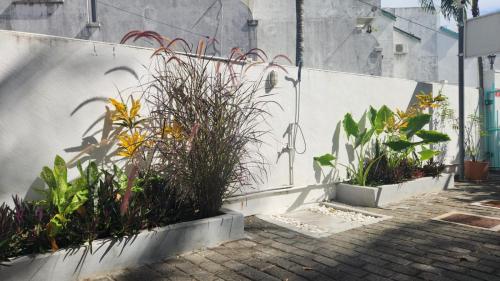 La Perla Holiday Apartments 5