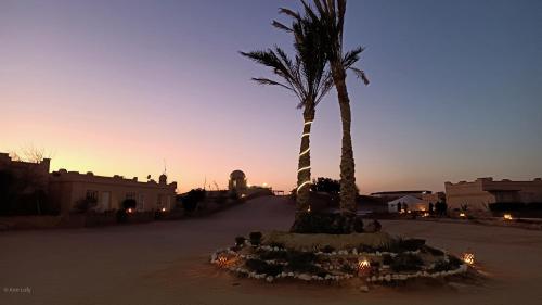 Sharm El Naga Resort and Diving Center - image 2