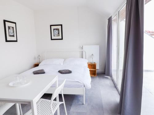 Angel room with large terrace R6, Prague