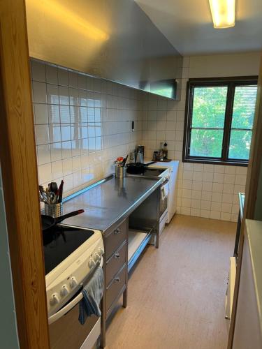 Konyha, The Green Cabin in Fagerfjall