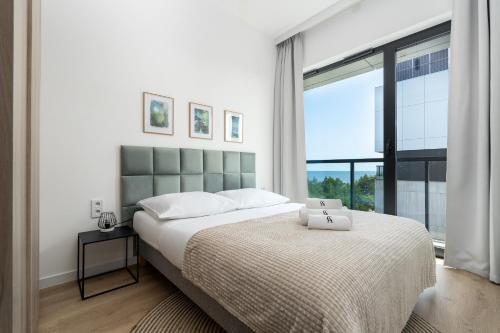 Shellter City Apartments, Rogowo