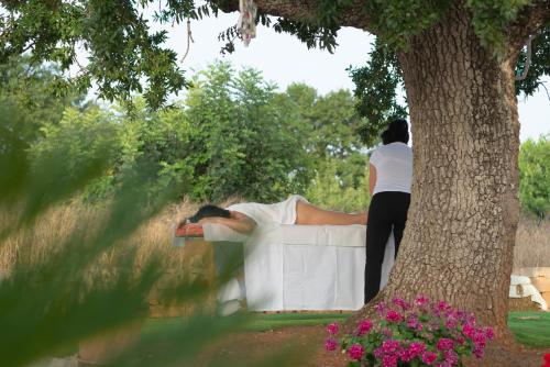 Trulli Vulés 3
