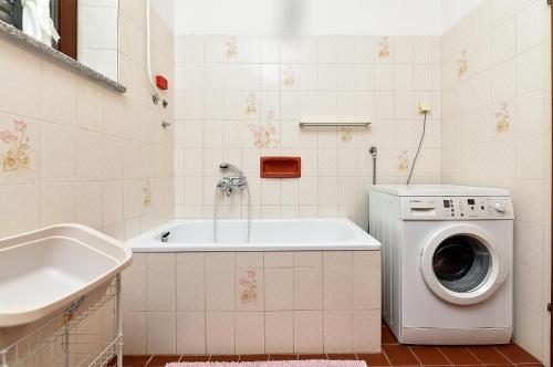 One-Bedroom Apartment image 8