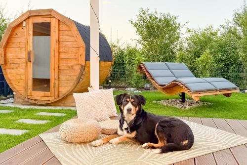 Sauna, AC, King Bed, Fenced Garden, Fibre Wi-Fi, Wandlitz (zdjęcie 8)